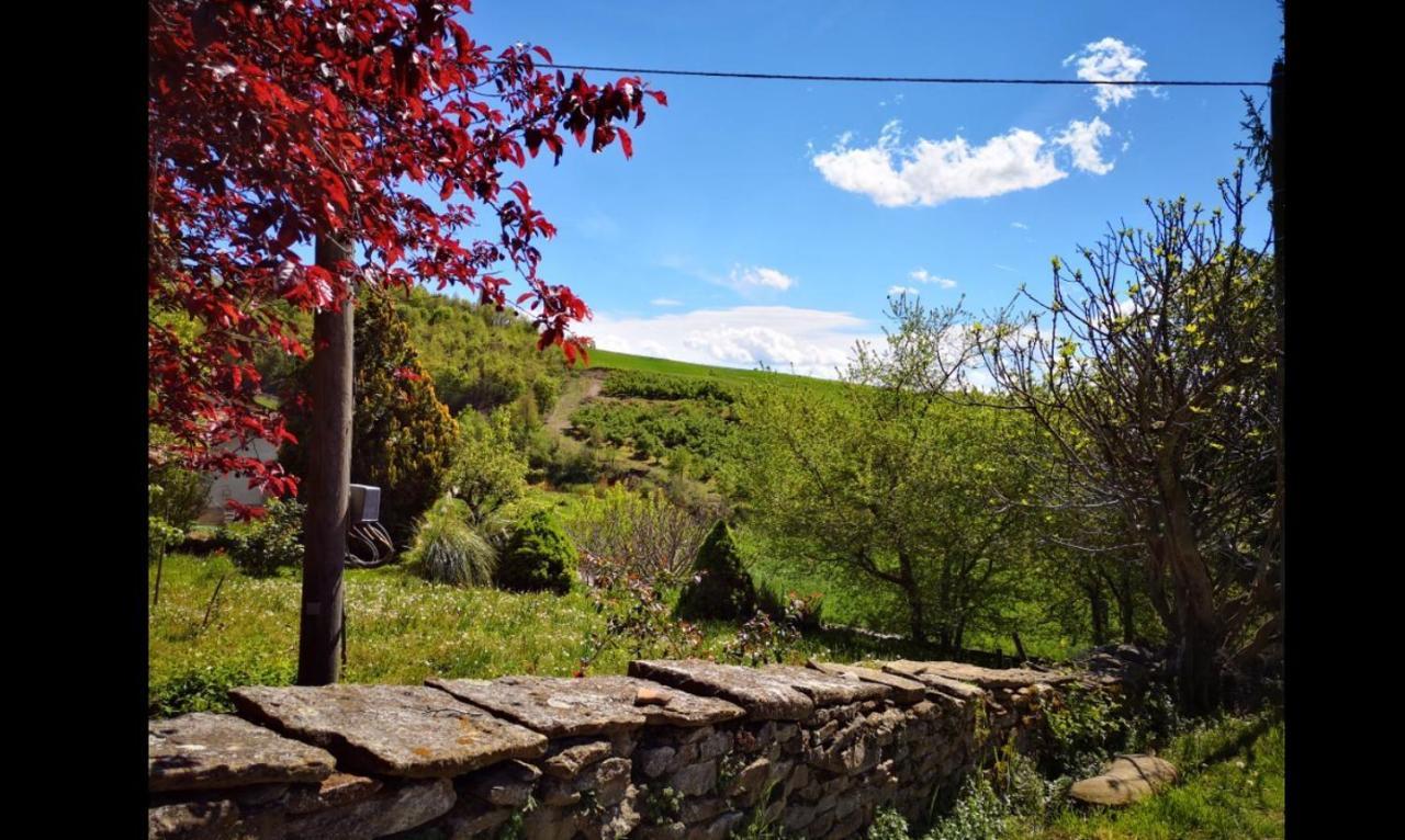 Agriturismo Locanda Dei Cacciatori Dogliani Eksteriør bilde